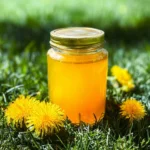 Mom's Dandelion Jelly (Spring Foraging) 101 Moms-Dandelion-Jelly-Spring-Foraging-Recipe