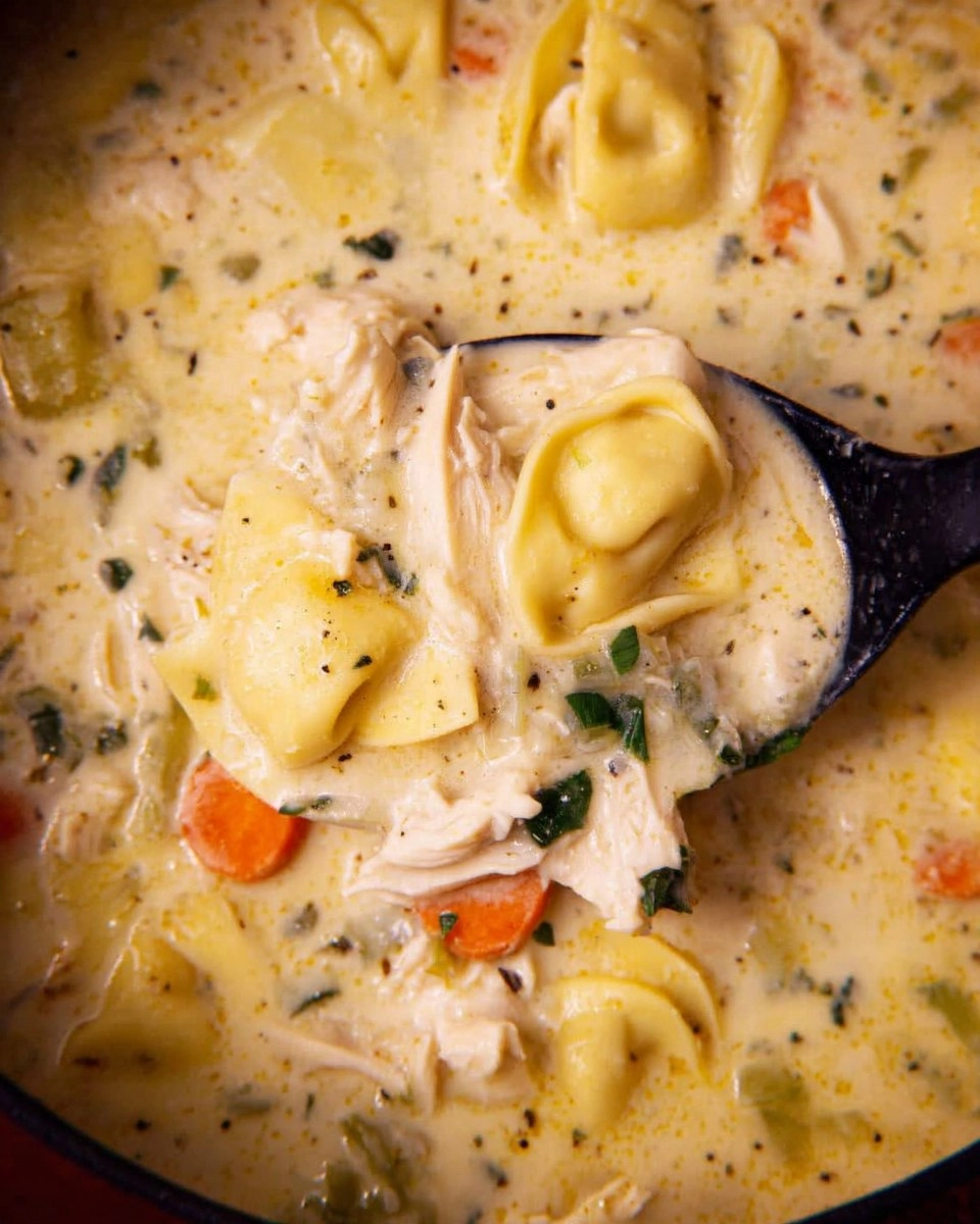 Creamy Chicken Tortellini Soup
